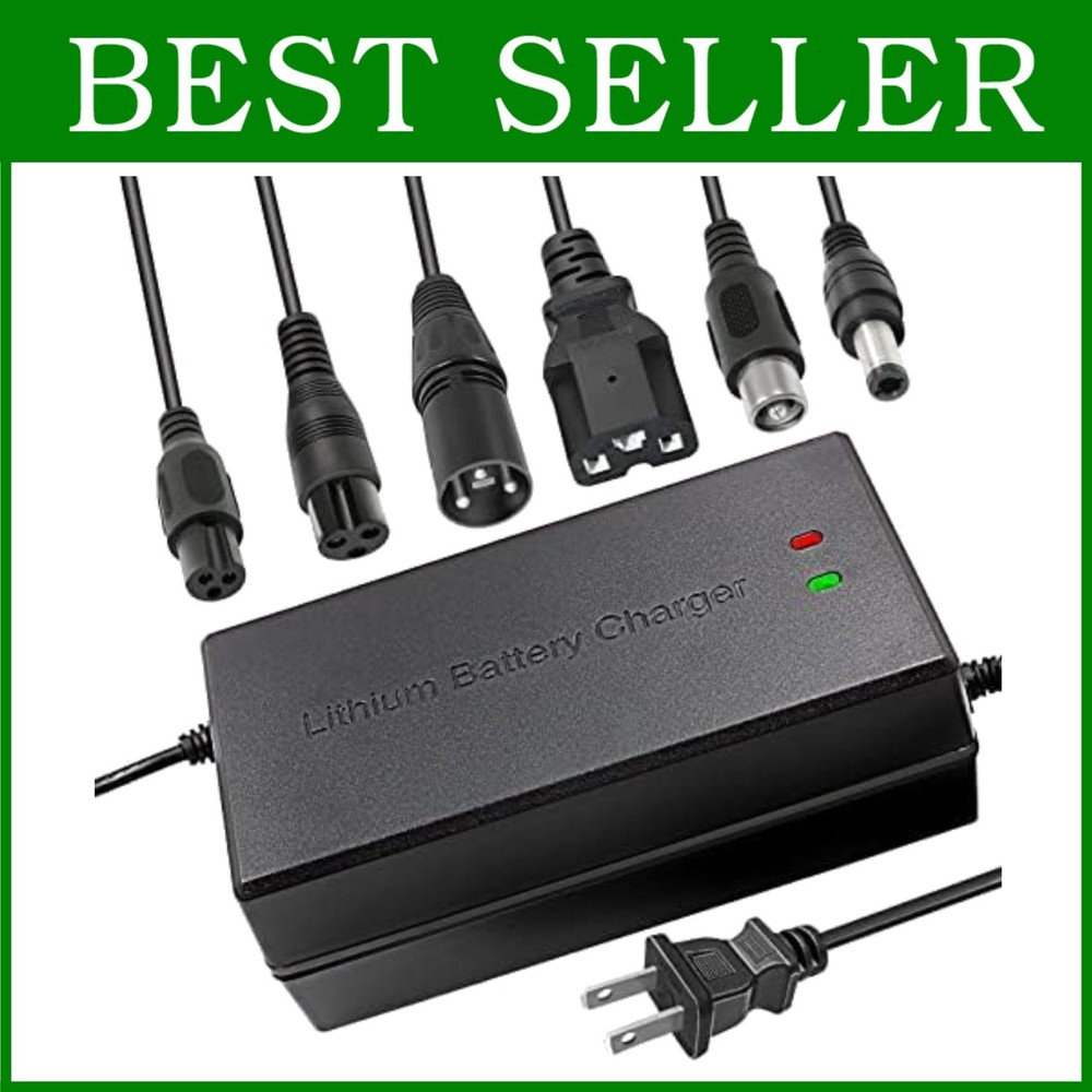 Intelligent 54.6V 5A Charger – 13S 48V – Multiple Connectors=