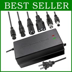 Intelligent 54.6V 5A Charger – 13S 48V – Multiple Connectors=
