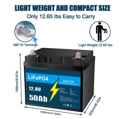 12V 10Ah 30Ah 50Ah BMS LiFePO4 Lithium Battery with Charger for RV Marine Lot