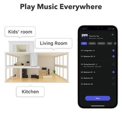 Pro AirPlay 2 Receiver, Google Cast Audio, WiFi Multiroom Streamer, Compatible