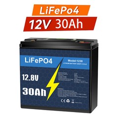 12V 30Ah LiFePO4 Rechargeable Lithium Battery BMS Deep cycles Fish Finder Boat