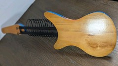 VTG Guitar CD DVD Disc Rack Holder Wall Mount Custom Painted Tropical Dolphin