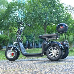 Off-road electric tricycle for adult outdoor use 3000W motor max speed 25-28MI