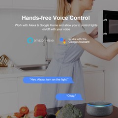 SONOFF WiFi Smart Plug,15A Timer Scedule Energy Monitoring APP Voice LAN Control
