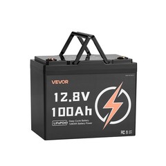 VEVOR 12V 100Ah Deep Cycle LiFePO4 Battery BMS Lithium Iron Phosphate Battery