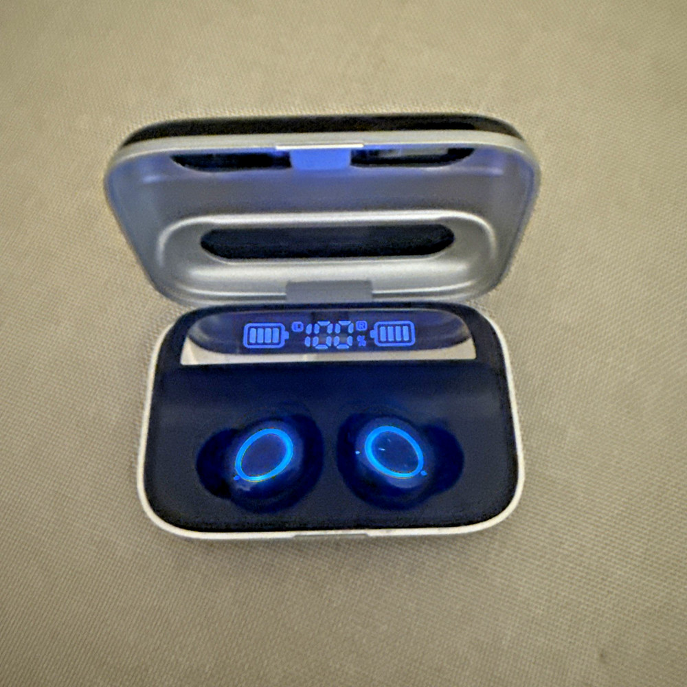 RoHS Ear Buds Model #109