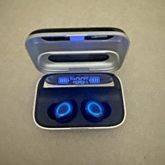 RoHS Ear Buds Model #109
