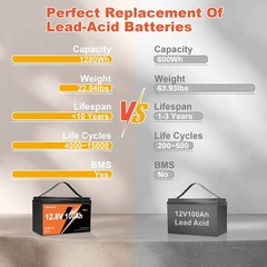 12V 100Ah LiFePO4 Lithium Battery Deep Cycle 100A BMS For RVs Camping Off-Grid