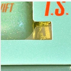Taylor Swift The Life of a Showgirl Earbud Case AirPods Regular NEW