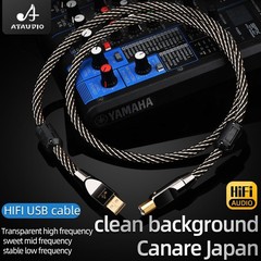 HIFI USB OTG Cable USB Type A to B USB Cable 6N OFC Type C to Type B Audio Cable