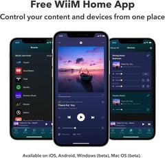 WiiM Pro Plus AirPlay 2 Receiver, Google Cast Audio, Multiroom Streamer
