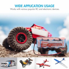 Tenergy NiMH 6V 1600mAh Flat and Hump Receiver Battery Pack With Hitec Connector