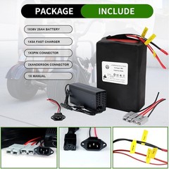 BtrPower 36V Battery Pack 25Ah Lithium LiFePO4 for Bicycle Motor E_Bik,e 50A BMS