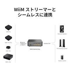 [Direct Import] WiiM Vibelink Amp 100W Power Amplifier ESS 9039Q2M DAC & TI