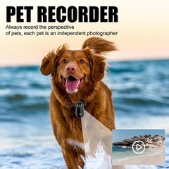 Wi-Fi Cat Dog Pet Collar 1080P HD Monitor Camera Video Recorder Mini Body Camera