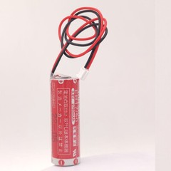 10Pcs Maxell ER17/50 3.6V 2750mAh ER17/50 PLC battery With Plug ER1750 Battery