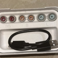 Sony WF-1000XM5 Earbuds Model YY2963 “For the Music”
