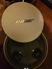BOSE 424611/You will only receive what you see in the photo.