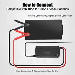 12V 20Ah LiFePO4 Lithium Battery with Charger, Built-in 20A BMS, for Power Wheel