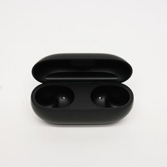 Beats Solo Buds True Wireless Earbuds MUVW3LL/A – Matte Black