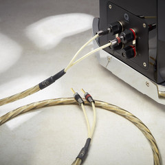 Golden Anniversary XT Pre-Term Speaker Cable (2 X 3 M)