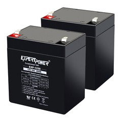 2 Pack – ExpertPower 12V 5AH Battery for Razor E100 E125 E150 Electric Scooter