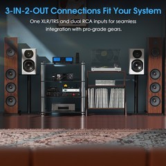 HIFI 2/4-Channel Digital Power Amplifier Speaker Selector for Eversolo DMP-A6