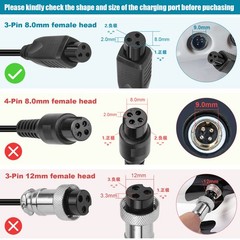 Charger for 25.5V Battery FY0422941500 Jetson JRAVE Rave SWAGTRON T5 T580