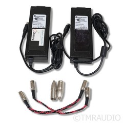 Digital Amplifier Company King Maraschino Cherry Monoblock Power Amplifier; Pair