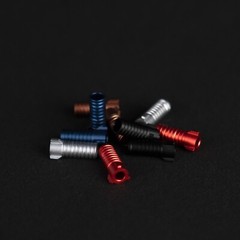 1 Pair New STUDER REVOX Trident Screw Silver Sleeves Screw Diameter 3.5mm