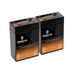 6V 4.5AH SLA Battery replaces cp0660 gp645 lcr6v4p hk-3fm4.5 – 2PK Bundle