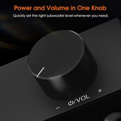 Subwoofer Amplifier Mini HiFi Mono Channel Amp for Bass Shaker Home Theater 100W