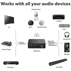 Pro AirPlay 2 Receiver, Google Cast Audio, WiFi Multiroom Streamer, Compatible