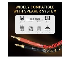 12 AWG 2Pack Audiophile Speaker Cable Wire with Banana Plugs, 4N OFC 9.8 Feet