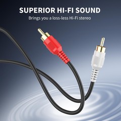RCA Cable 30ft,2RCA M/M Stereo Audio Cable [24K Gold Plated | Copper Core] 2R…
