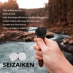 Seizaiken 391 SR1120W 1.55V 0%Hg Silver Oxide Watch Battery – Wholesale