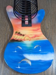 VTG Guitar CD DVD Disc Rack Holder Wall Mount Custom Painted Tropical Dolphin