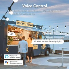 HBN Heavy Duty Outdoor Smart WiFi Plug Timer works with Alexa & Google Assistant