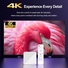H96MAX H313 Android 14 TV Box 2GB RAM 16GB ROM 4K Ultra HD WiFi 6 BT5.0