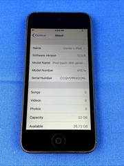 Apple iPod Touch 6th Gen A1574 32GB SPACE GRAY Tested No iCloud No MDM