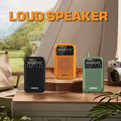 Compact D220 AM FM SW Receiver – Easy to Use, Battery Operated Transistor Radio