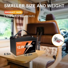 12V 100Ah LiFePO4 Lithium Battery Deep Cycle 100A BMS For RVs Camping Off-Grid