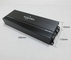 5000W MAX Monoblock Class D Car Amp -Low Distortion Stereo Audio Amplifier