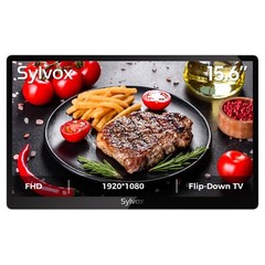 Sylvox 15.6″ Mini TV 12 Volt TV 90° Flip Down ±45° Rotatable 1080P for Mini Spa
