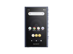 SONY Walkman NW-A306 NW-A307 A series memory type Black Blue Gray Music 2023
