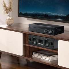 Versatile 17 Inch Center Channel Speaker, Home Cinema