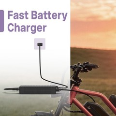 42V AC Charger with RCA Plug For Nakto 36V Camel, Fashion, Elegance, Pony
