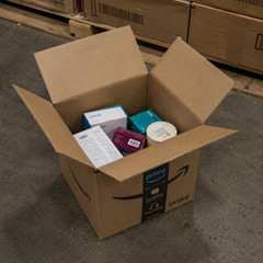 Amazon Wholesale Lot Trending Inventory with Premium Appeal