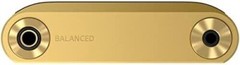 SONY NW‐WM1ZM2 WALKMAN 256GB WM1 Series Hi-Res Android 11 Gold From Japan