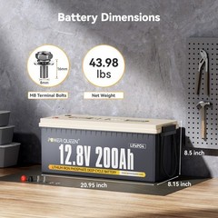 Power Queen 12V 200Ah LiFePO4 Lithium Battery 2560Wh w/BMS for Solar RV Marine